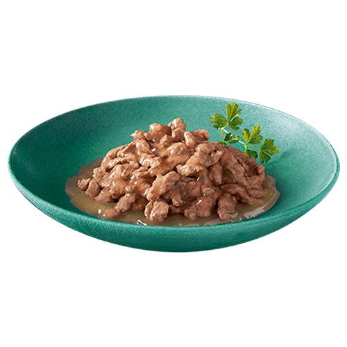 kitten plate