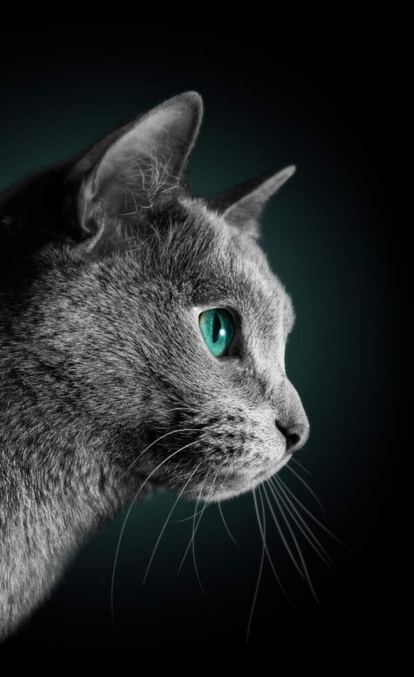 left image desktop