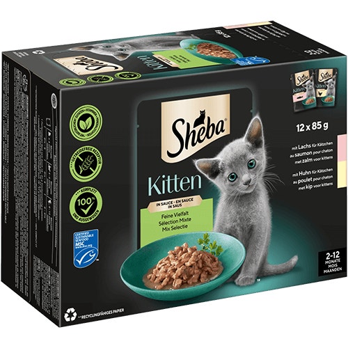 kitten product - Product