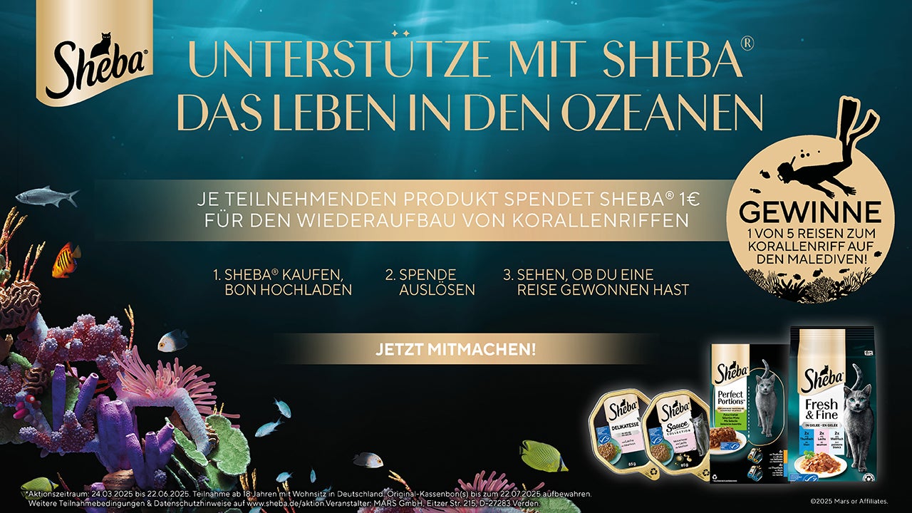Coral banner
