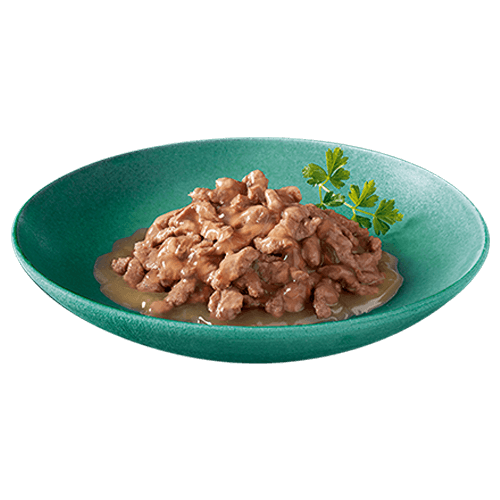kitten plate