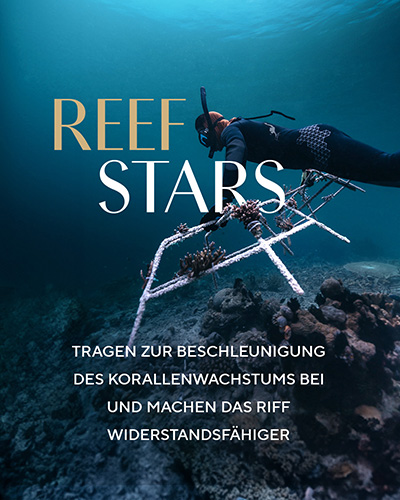 Reef Stars