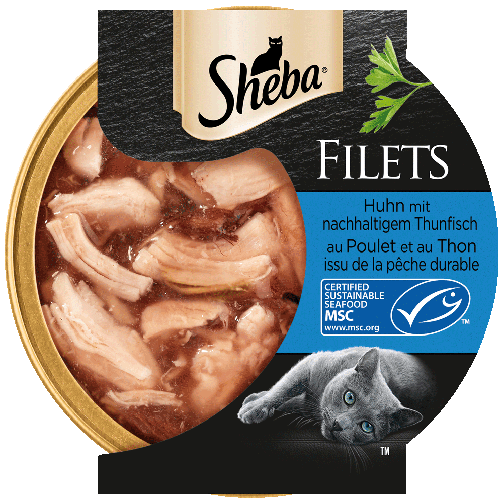 Filets Thunfisch MSC, Schale