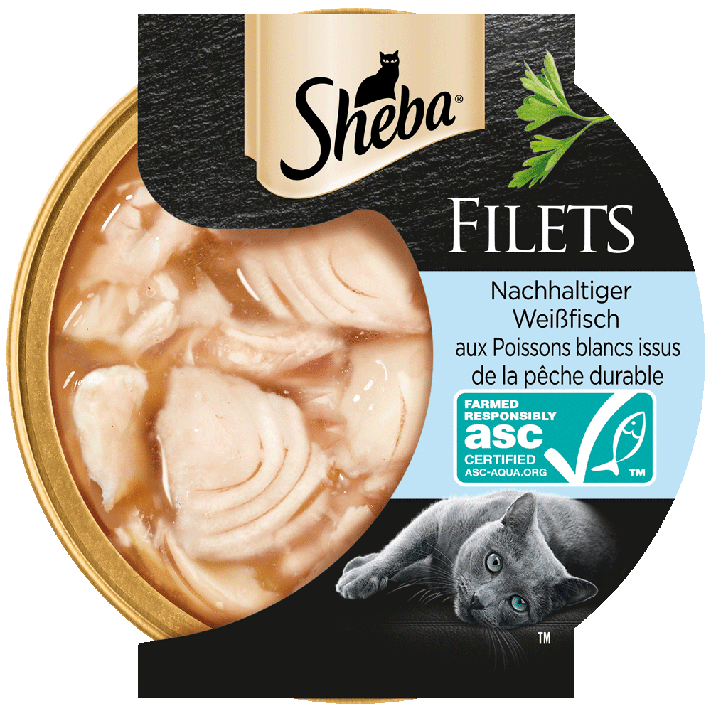 Filets Weißfisch ASC, Schale