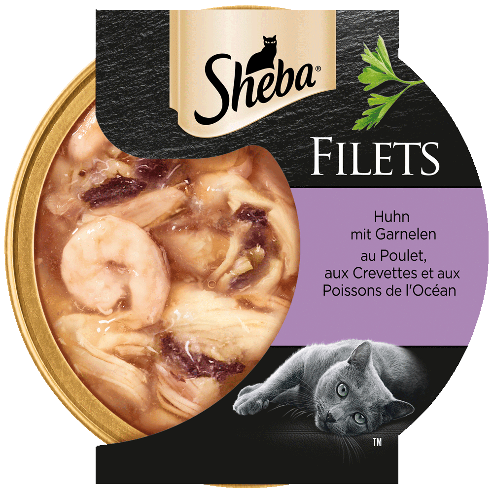 Filets Huhn und Garnelen, Schale