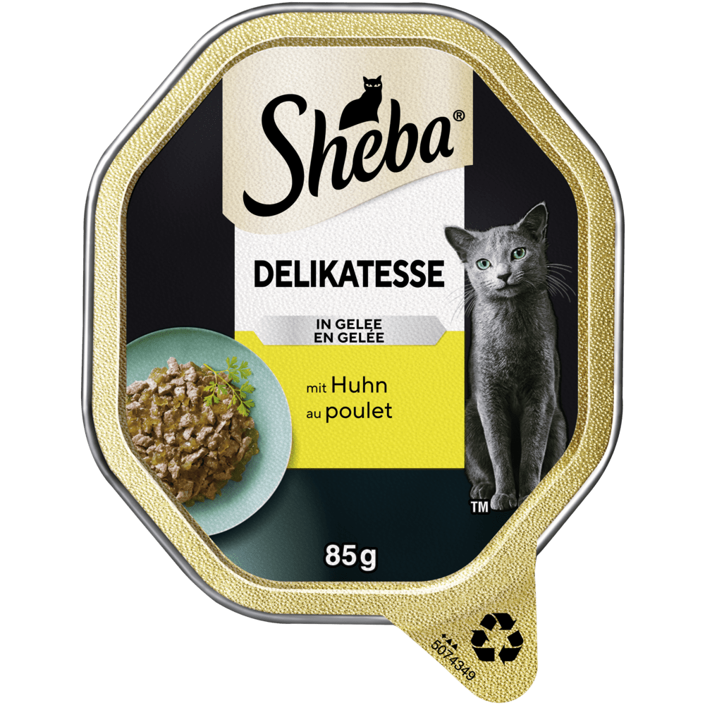 Delikatesse in Gelee mit Huhn, Schale