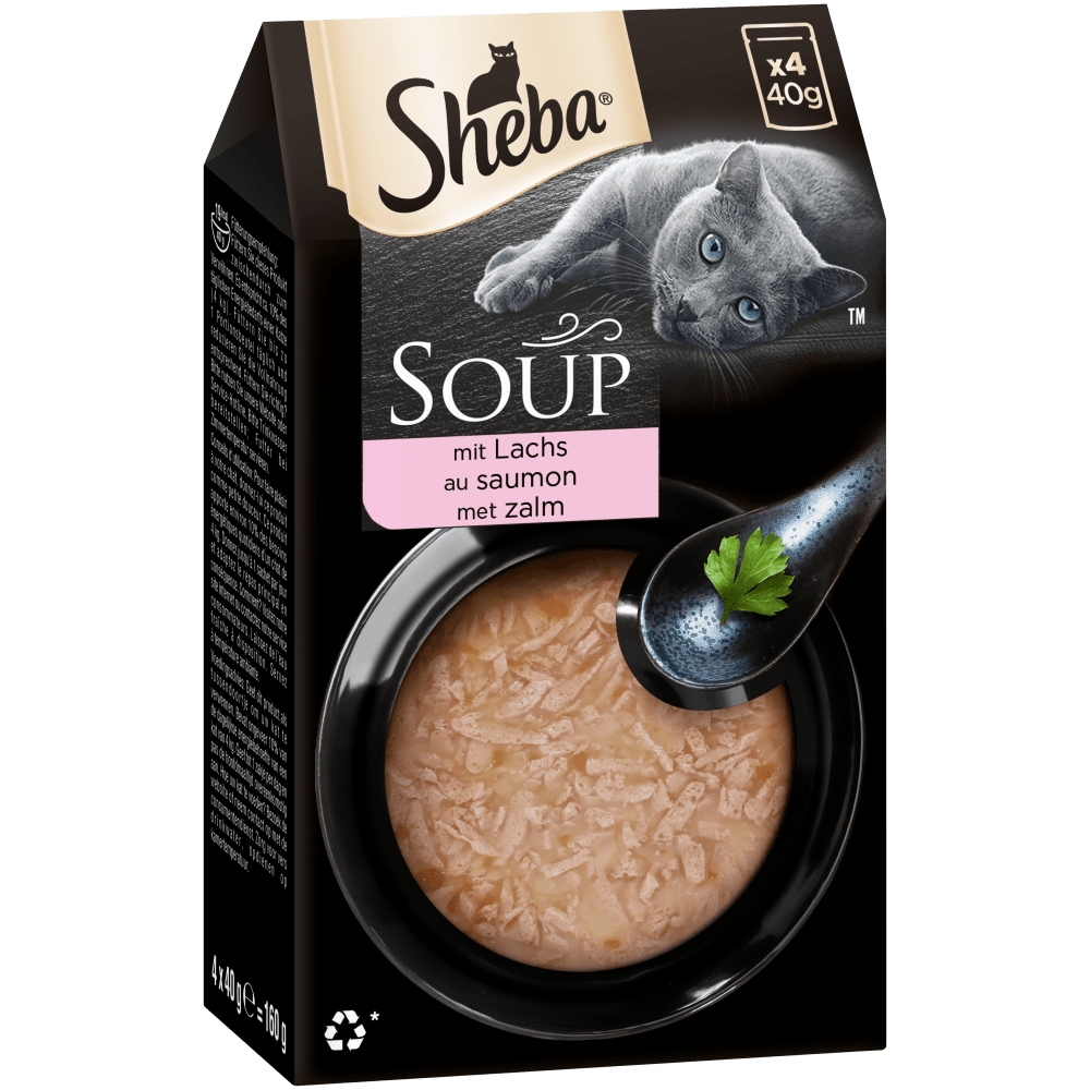 Soup mit Lachs, Portionsbeutel Multipack
