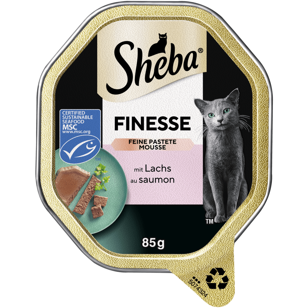 Finesse feine Pastete mit Lachs MSC, Schale