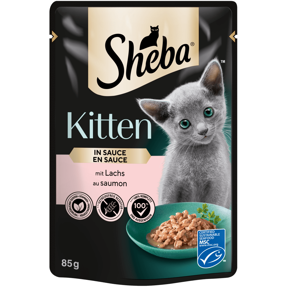 Kitten in Sauce mit Lachs, Portionsbeutel