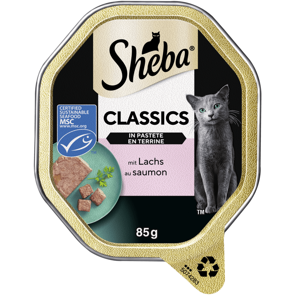 Classics in Pastete mit Lachs MSC, Schale