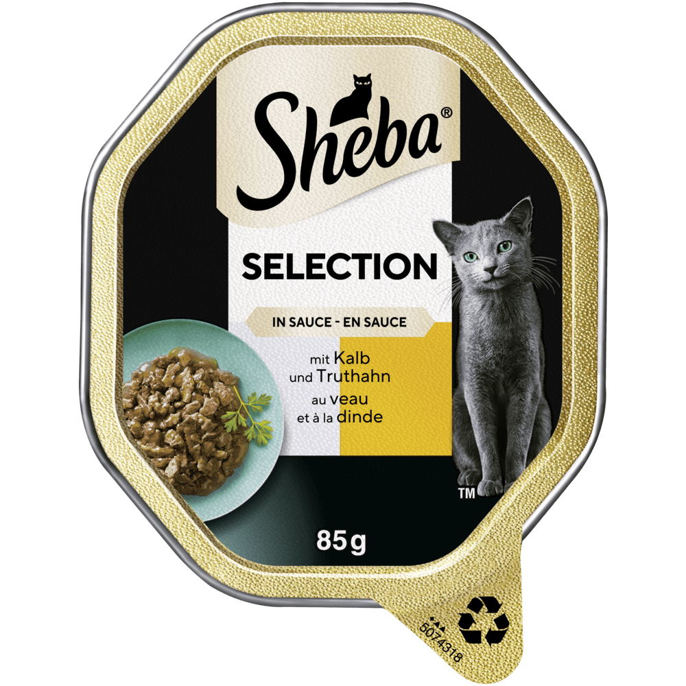Selection in Sauce mit Kalb und Truthahn, Schale